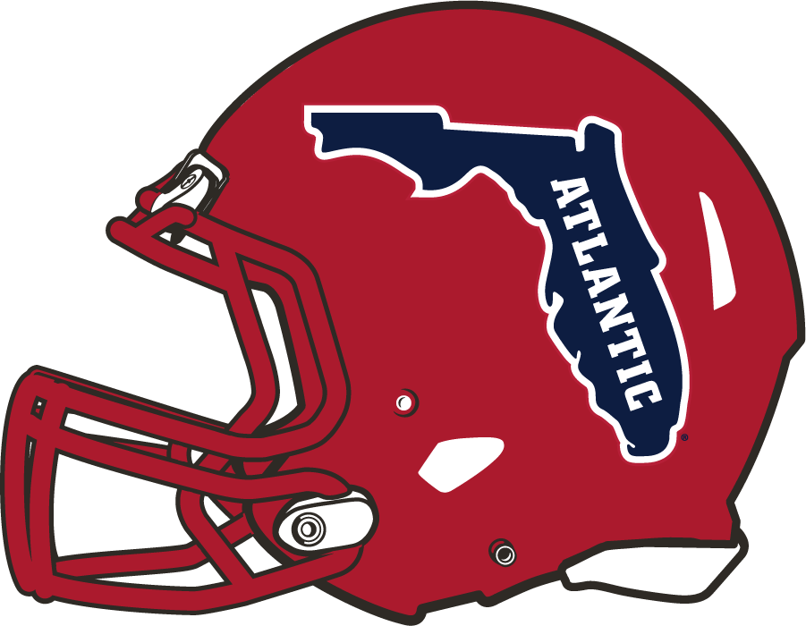 Florida Atlantic Owls 2017-Pres Helmet Logo v3 diy DTF decal sticker